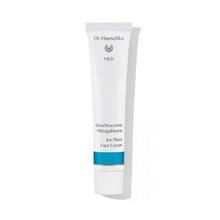 Niisutav näokreem Dr. Hauschka Ice Plant, 40 ml