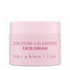 Näokreem Nacomi Zero Pore & Blemishes Marshmallow, 40 ml
