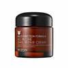 Multifunktsionaalne näokreem Mizon All In One Snail Repair Cream, 75 ml