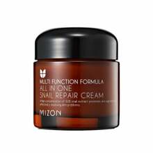 Multifunktsionaalne näokreem Mizon All In One Snail Repair Cream, 75 ml