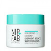 Öökreem NIP + FAB Hyaluronic Fix Extreme 4 Overnight Bounce Water Cream, 50 ml