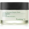 Näopalsam Pyunkang Yul Calming Moisture Repair Balm, 30 ml
