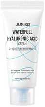 Näokreem Jumiso Waterfull, hüaluroonhape, 20 ml