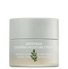 Niisutav kreem Missha Artemisia Calming Moisture, 50 ml