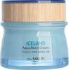 Näokreem The Saem Iceland Aqua Moist, 60 ml