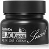 Näokreem Farmstay Black Snail All-In-One Cream, 100 ml