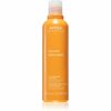 Aveda Sun Care Hair and Body Cleanser šampoon ja dušigeel, 250 ml