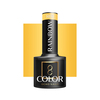 Hübriidlakk Ocho Nails, Rainbow R01, 5 g