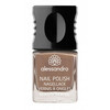 Küünelakk Alessandro Nail Polish, 170 Hot Stone, 10 ml