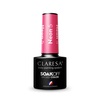 Hübriidküünelakk Claresa Soak Off UV/LED Neon, 5.5 g