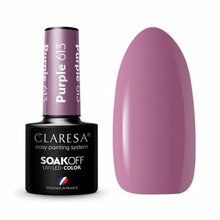 Hübriidküünelakk Claresa Purple 613, 5 g