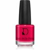 Küünelakk Diego Dalla Palma, 221 Mon-cherry, 14 ml