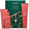 Juuksehoolduskomplekt Aveda Nutriplenish, šampoon 100 ml + palsam 100 ml + juustesse jäetav palsam 150 ml