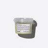 Niisutav juuksepalsam Davines MOMO, 75 ml