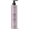 Juustesse jäetav palsam Lakme Teknia Frizz Control, 300 ml