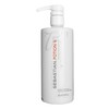 Juuksehooldus- ja viimistlusvahend Sebastian Potion 9, 500 ml