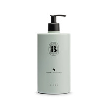 Juuksepalsam Bjork Ag Silver, kollaste toonide neutraliseerimiseks, 750 ml
