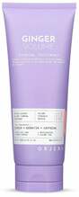 Juuksepalsam Orjena Ginger Volume Firming Treatment, 200 ml