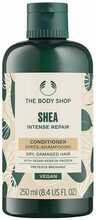 Juuksepalsam, taastav The Body Shop Shea Intense Repair, 250 ml