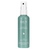 Juustesse ja peanahale jäetav hooldus Idun Minerals, 100 ml