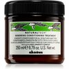 Juuksepalsam Davines Naturaltech Renewing Conditioning Treatment, 250 ml