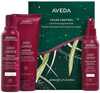 Juuksehoolduskomplekt Aveda Color Control, šampoon 200 ml + palsam 200 ml + juustesse jäetav palsam 150 ml