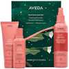 Juuksehoolduskomplekt Aveda Nutriplenish, šampoon 100 ml + palsam 100 ml + juustesse jäetav palsam 200 ml
