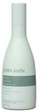 Niisutav juuksepalsam Bjorn Axen Moisture, 250 ml