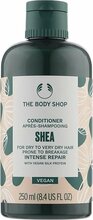 Juuksepalsam The Body Shop Shea Intense Repair, 250 ml