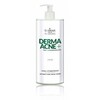Antibakteriaalne näotoonik Farmona Professional Dermaacne+, 500 ml