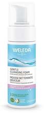 Puhastav näovaht Weleda Gentle Cleansing Foam vahukommi ekstraktiga, 150 ml