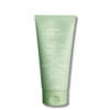 Näopuhastusvaht Abib Acne Foam Cleanser Heartleaf Foam, 150 ml