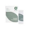 Rahustav näopesupulber Isntree Mugwort Calming Powder Wash, 25 x 1 g
