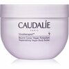 Kehavõi Caudalie Vinotherapist, 250 ml