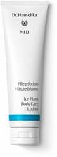 Kehapiim Dr. Hauschka Med Ice Plant Body Care, 145 ml