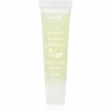 Huulekoorija Ziaja Tropical Pineapple, 12 ml