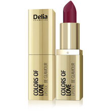 Huulepulk Delia Cosmetics Colors Of Love, 407, 4 g