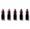 Huulepulkade komplekt Revolution PRO Lipstick Collection, Matte Reds, 5 x 3,2 g