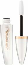 Ripsmetušialus Max Factor Lash Revival Volume Boosting, 11 ml