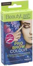 Kulmuvärvi komplekt Refectocil Beautylash Pro Brow Colour, tumepruun, 1 tk