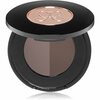 Kulmupuuder Anastasia Beverly Hills Brow Powder Duo, Ash Brown, 2 x 0,8 g
