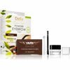 Kulmuvärv Delia Cosmetics Eyebrow Expert, 4.0 Brown, 4 g