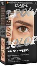 Kulmuvärv L'Oreal Brow Color, 5.0 Brunette, 15 ml