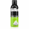Raseerimisvaht Gillette Lime, 200 ml
