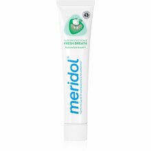 Meridol Gum Protection Fresh Breath hambapasta, 75 ml