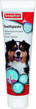 Maksamaitseline hambapasta koertele Beaphar Dog-a-Dent, 100 g