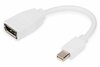 Adapterkaabel DisplayPort Digitus DB-340405-001-W, mini DP - DP, 0.15 m, valge