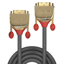 Kaabel DVI-D Lindy 36216, 15 m, kuld