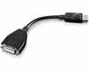 Adapter Lenovo 45J7915 DisplayPort to DVI-D, 0,2 m