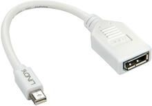 Adapter Lindy 41021, Mini DP - DP, 0.2 m, valge